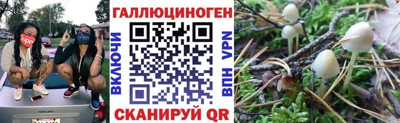 Галлюциногенные грибы Magic Shrooms  blacksprut ТОР  Лермонтов 